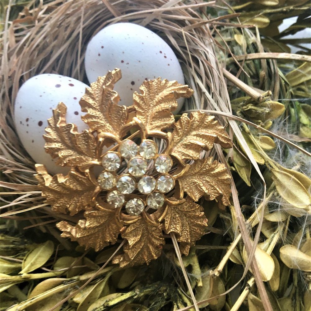 Gorgeous Brooch